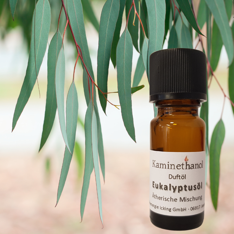 Duftöl Eukalyptusöl 10 ml Tropfflasche